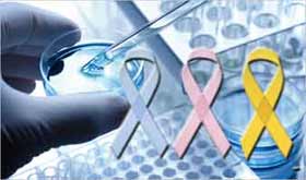 Une puissante nouvelle arme naturelle contre le cancer