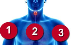 3 minéraux et 3 aliments indispensables pour votre thyroïde