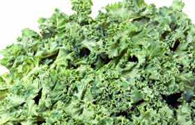 Le choux Kale, un légume santé à découvrir