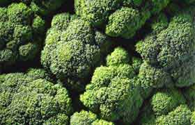 Le brocoli, la protection contre le cancer par excellence