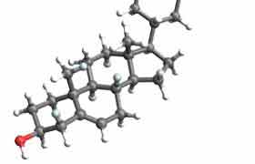 Le Cholestérol: Indispensable à la vie
