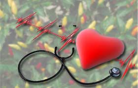 Le piment rouge, ou Cayenne, pourrait arrêter une crise cardiaque tout en préservant les tissus du cœur