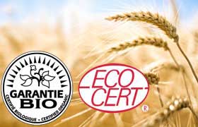 Agriculture biologique :