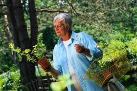 Guérir, selon la naturopathe Hazel Parcells