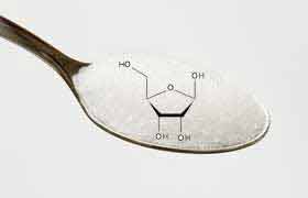 Une seconde vie grâce au Ribose