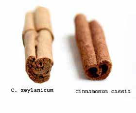 La cannelle abaisse le taux de glucose sanguin, mais sachez choisir votre cannelle et comment l'utiliser