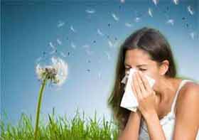 Allergies saisonnières: les vertus de la quercétine et autres remèdes naturels