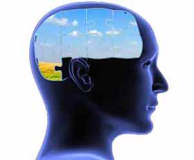 Pour un cerveau en santé, mangez du gras!