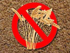 Les véritables dangers d'un régime sans gluten