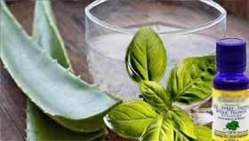 Soulagez immédiatement la douleur et l'irritation du système digestif et intestinal