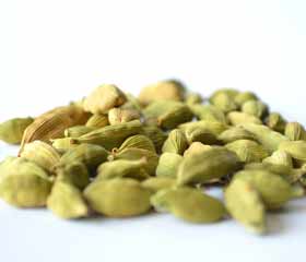 Cardamome <i>(Elettaria cardamomum)</i>
