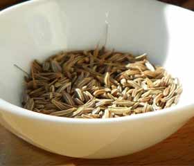 Cumin <em>(Cuminum cyminum)</em>