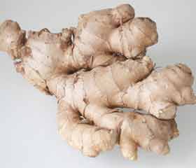 Gingembre <i>(Zingiber officinalis)</i>