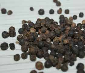 Poivre noir. <i>Piper nigrum</i>
