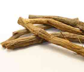 Réglisse <i>(Glycyrrhiza glabra)</i>