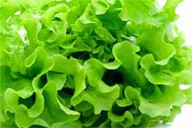 La chlorophylle protège des agents cancérigènes en les neutralisant et facilite leur élimination de l'organisme, mais à une condition!