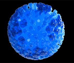 Le régime cétogène aide à vaincre le virus de la grippe