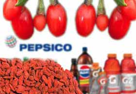 PepsiCo dépose une recette de boisson énergisante à base de plantes médicinales chinoises et sans caféine