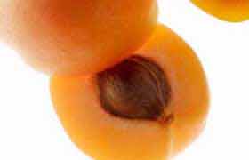 L’abricot, le secret de longévité des Hunzas?