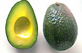 L'avocat, riche en gras…. Oui mais pas n'importe quels gras!