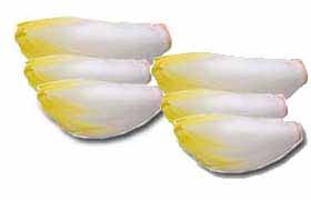 L'endive ou chicon, pour maigrir et se désintoxiquer