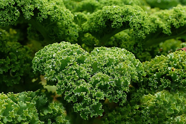 AVC, 6 aliments pour réduire de 52% le risque