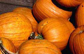La citrouille, la reine de l'Halloween mais surtout la reine du bêtacarotène