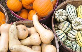 La courge, un festival de bêtacarotène