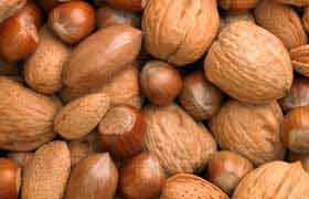 Les noix : sous leur coquille se cache une grande richesse nutritive