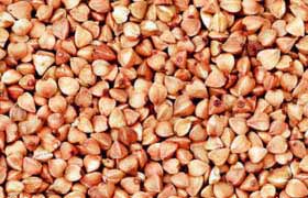 Le sarrasin: Ami du système cardio-vasculaire, du diabétique et protecteur du cancer.