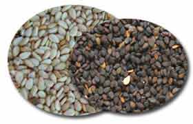 Le sésame: de petites graines pour un surplus d’énergie