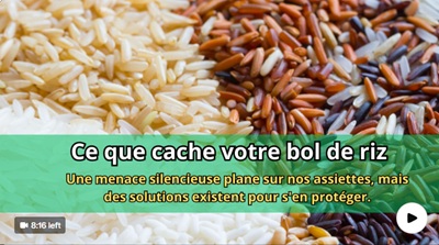 Danger invisible : ce que votre riz ne vous dit pas